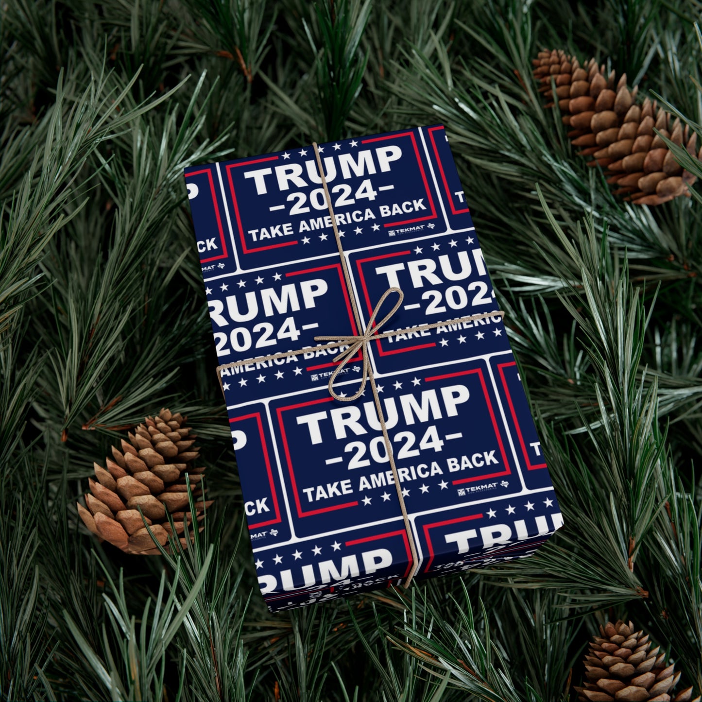 Trump Take America Back Christmas Wrapping gift Paper