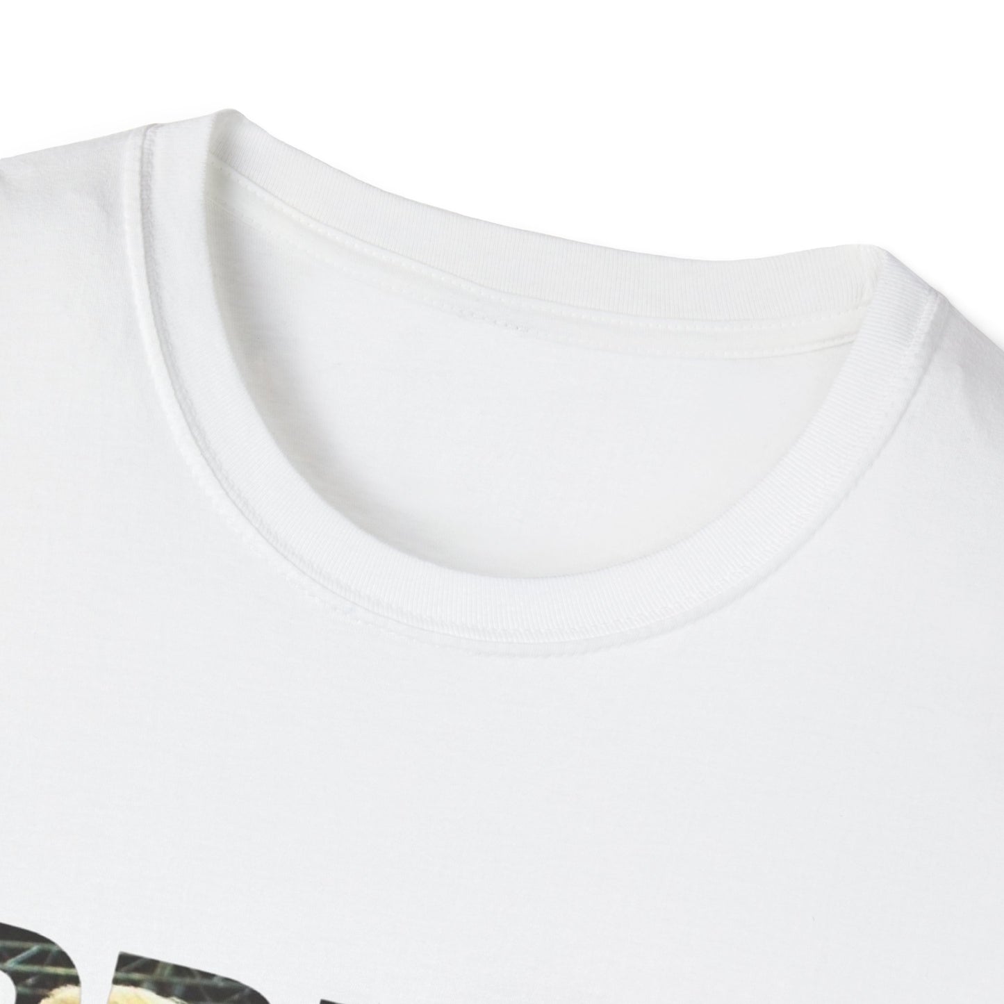 Bring Back Trump Unisex Softstyle T-Shirt