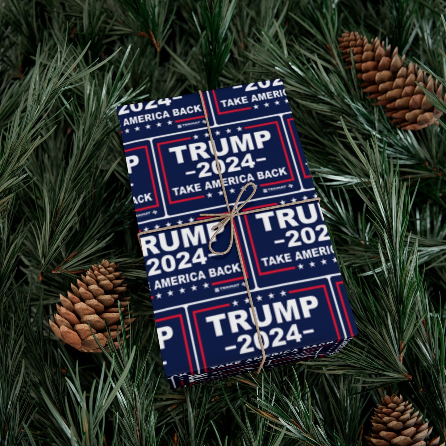 Trump Take America Back Christmas Wrapping gift Paper