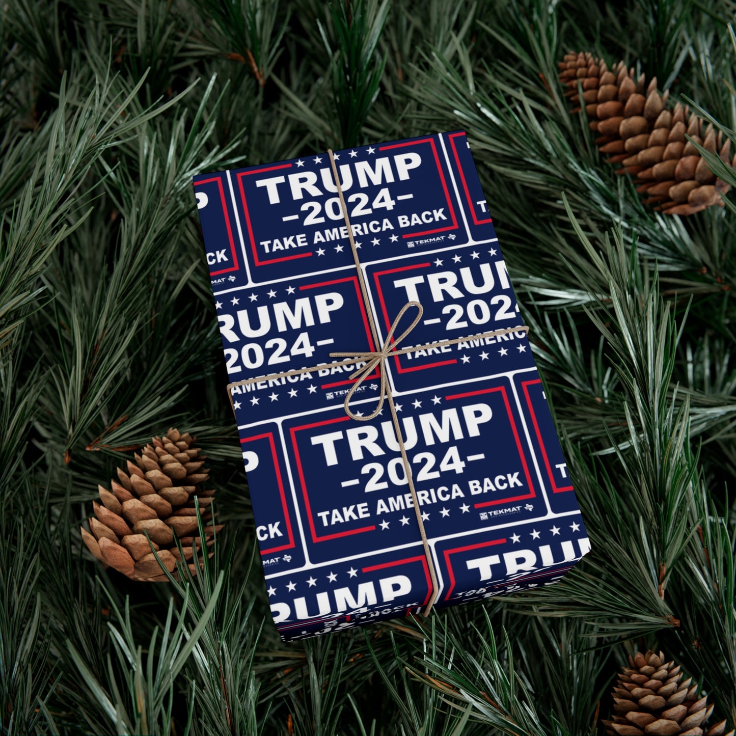 Trump Take America Back Christmas Wrapping gift Paper