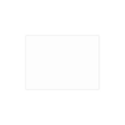 Merry Christmas From Donald J Trump Postcard Bundles (envelopes included)