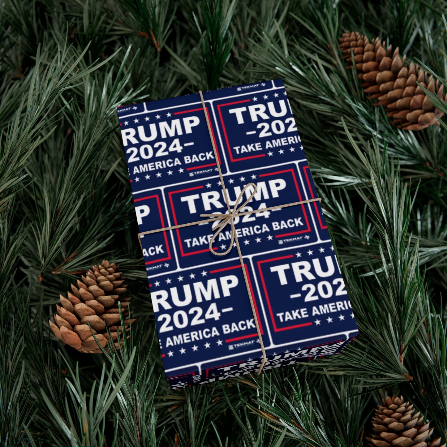 Trump Take America Back Christmas Wrapping gift Paper