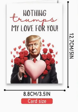 I Would Never Deport You Valentine's Day Trump Card