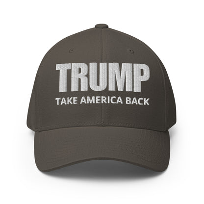 TRUMP Take America Back Fitted Cap
