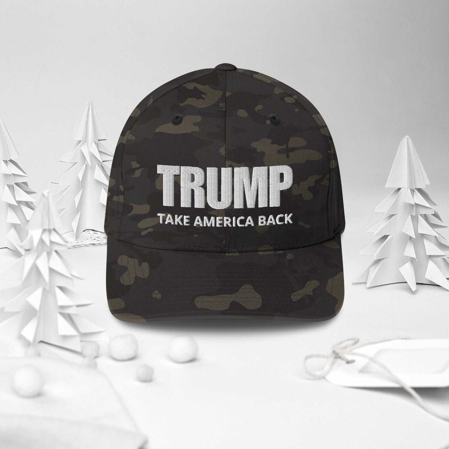 TRUMP Take America Back Fitted Cap
