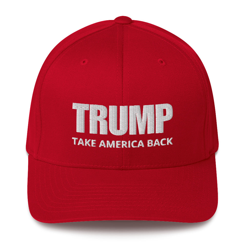 TRUMP Take America Back Fitted Cap
