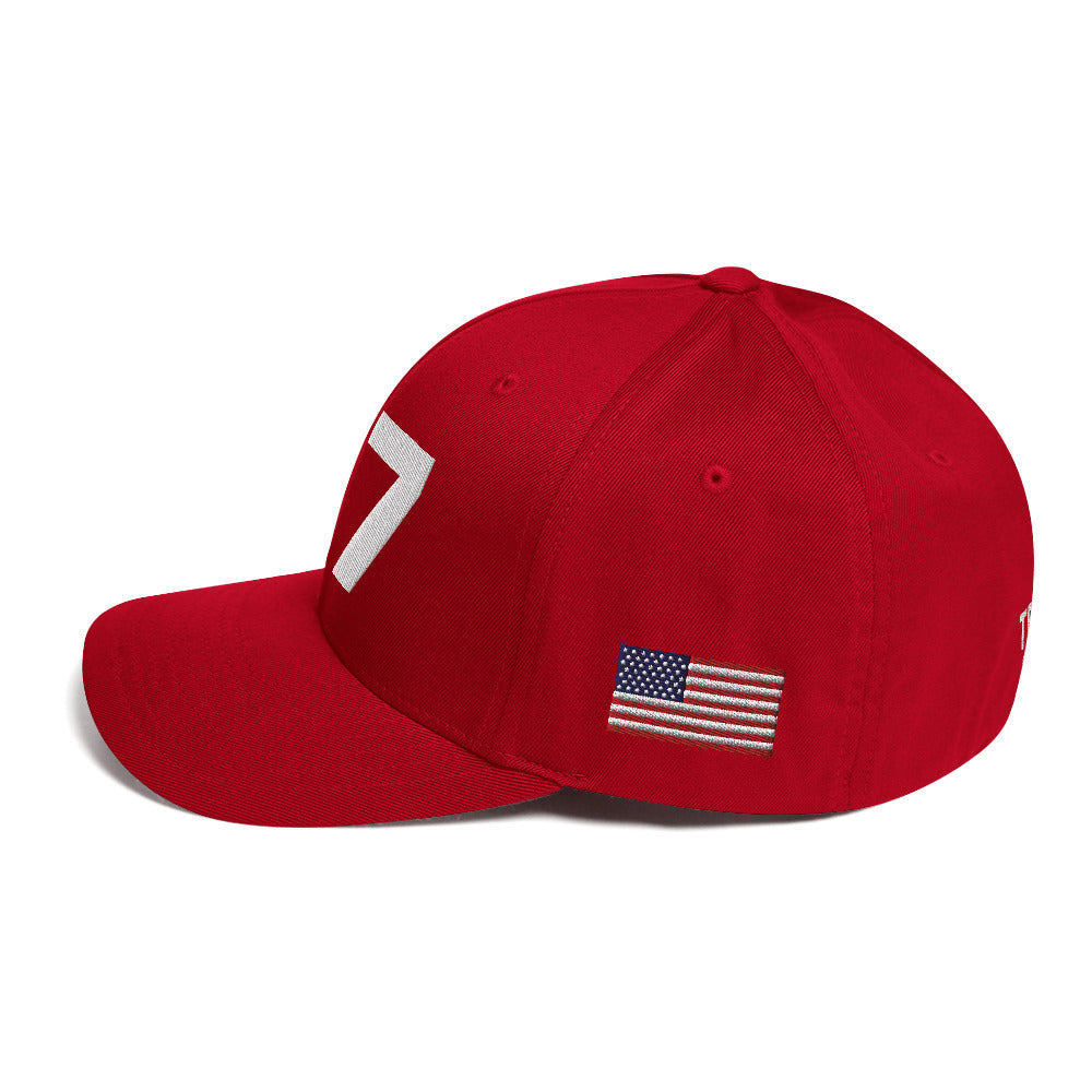 Deluxe Trump 2024 47 American Flag Fitted Structured Twill Cap